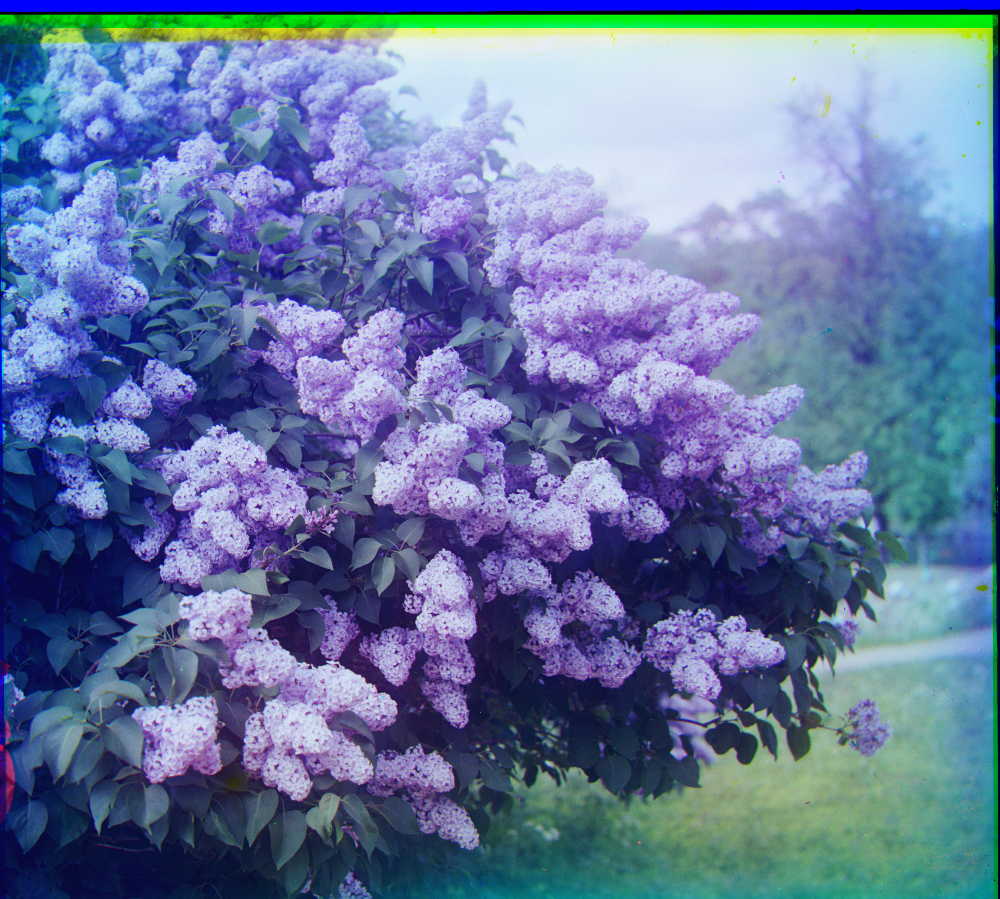 Part2 image 10